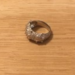 [Satoshi] Luna戒指＃9 第2張的照片