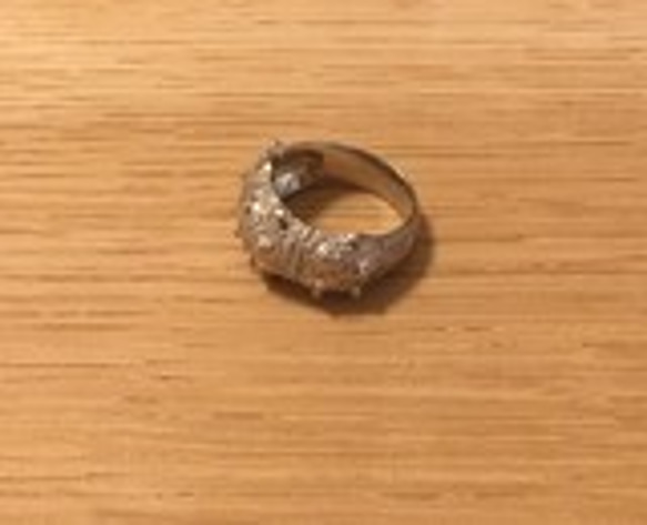 [Satoshi] Luna戒指＃9 第2張的照片