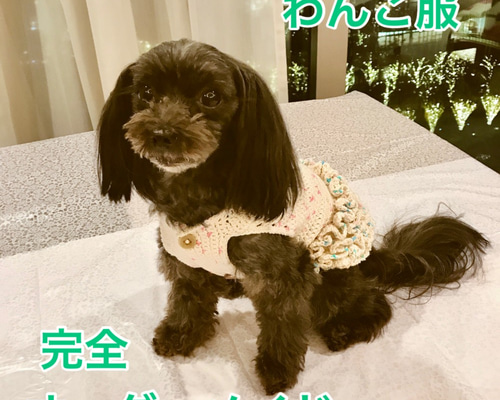 完全オーダーメイドのわんこ服 Ver.1 中（首~しっぽの付け根 25～27cm