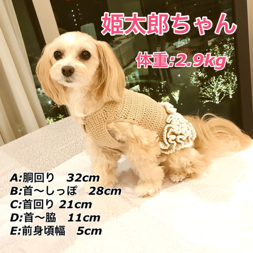 購入 わんこ服オーダー受付 D-3 わんこ服オーダー受付 D-3