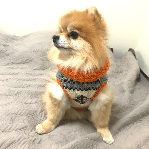 カウチンセーター オレンジ鹿柄 ペット服・アクセサリー chiko