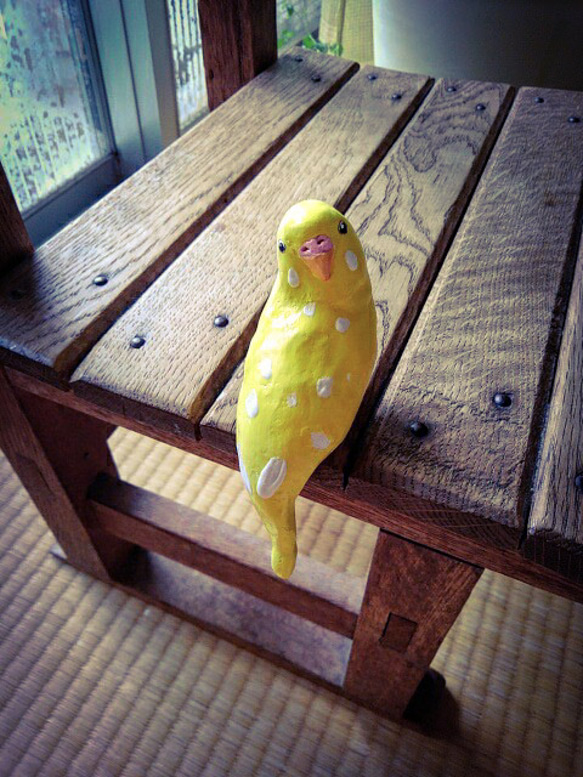 セキセイインコ インコグッズのおすすめ商品とおしゃれな実例