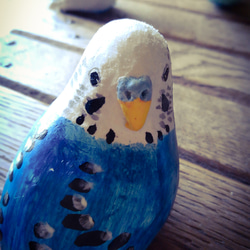 セキセイインコ インコグッズのおすすめ商品とおしゃれな実例