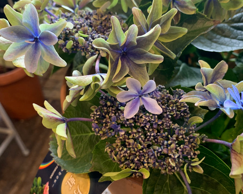 1_6bfddbc61b7abf88561d36bf9be3