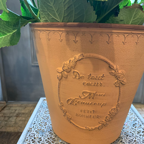 紫陽花】最後の1点！ 新品種 月虹 鉢カバー付き 現品になります アート