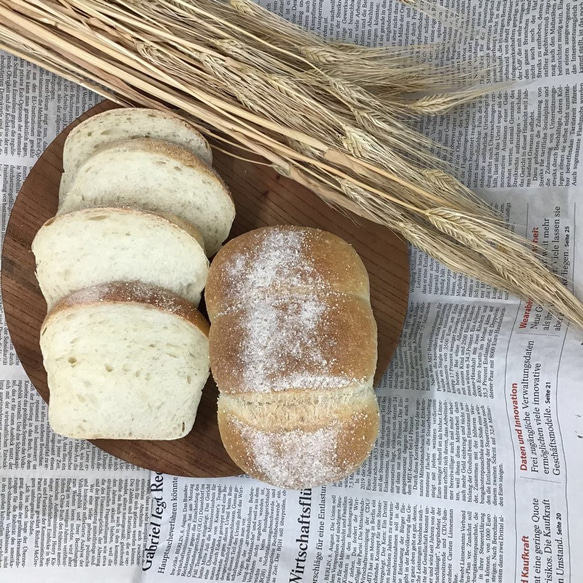 木型で焼いたほんわか食パン（S)【自家培養天然酵母のパン】 3枚目の画像