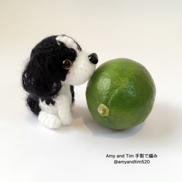 【客製專區】8公分寶貝毛孩-西施犬-毛線編織鑰匙圈-寵物-Amy and Tim 手製で編み 第1張的照片