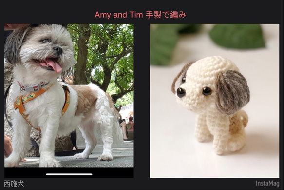 【客製專區】8公分寶貝毛孩-西施犬-手工編織鑰匙圈吊飾-寵物-Amy and Tim 手製で編み 第2張的照片