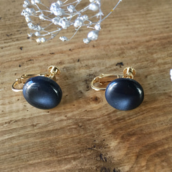 Soft marble color earrings (Indigo blue) 1枚目の画像