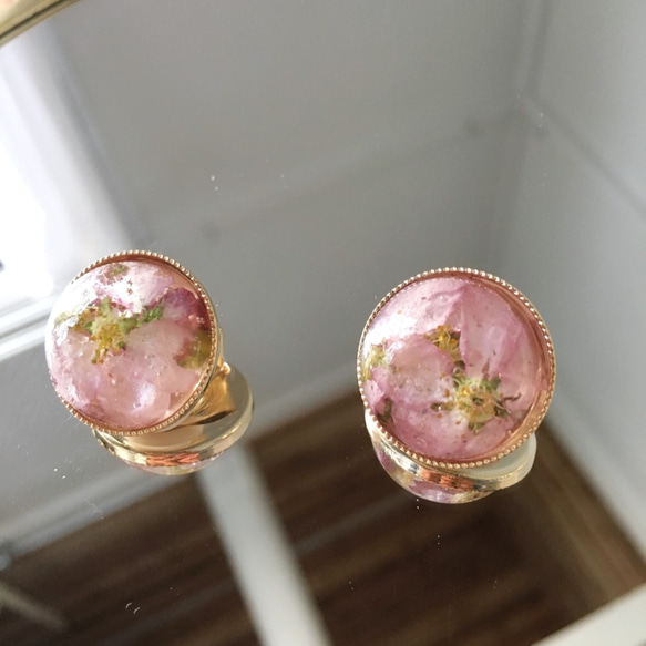 一粒新鮮摘櫻桃乾花（Stats）耳環（18毫米） 第1張的照片