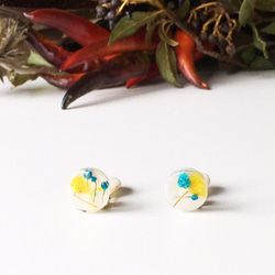 明亮的藍色和黃色放牧草釘（一粒）耳環（12毫米） 第1張的照片