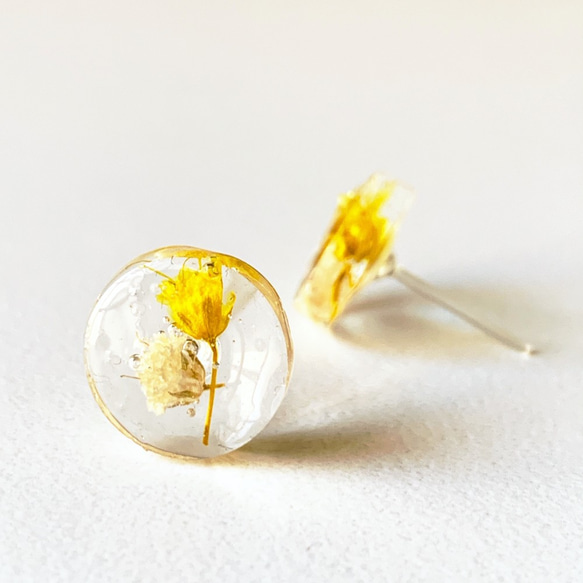 &lt;Metal-free&gt; Vivid yellow haze grass stud (one) 樹脂耳環（12mm） 第3張的照片