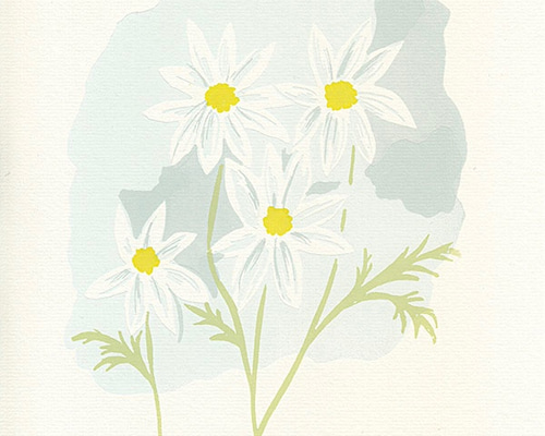 マーガレットの夢（版画シルクスクリーン）＊絵、リラックス、花