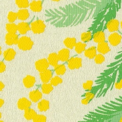 ミモザ＊版画（シルクスクリーン）ポストカード＊3枚セット＊mimosa,黄色 3枚目の画像