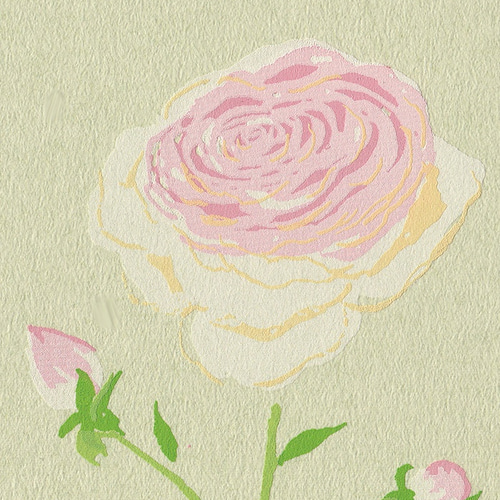 5ローズ＊版画（シルクスクリーン）ポストカード＊5枚セット＊薔薇 