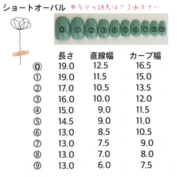 ネイルチップ　No.365 3枚目の画像