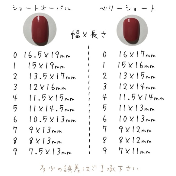 ネイルチップ No.89 2枚目の画像