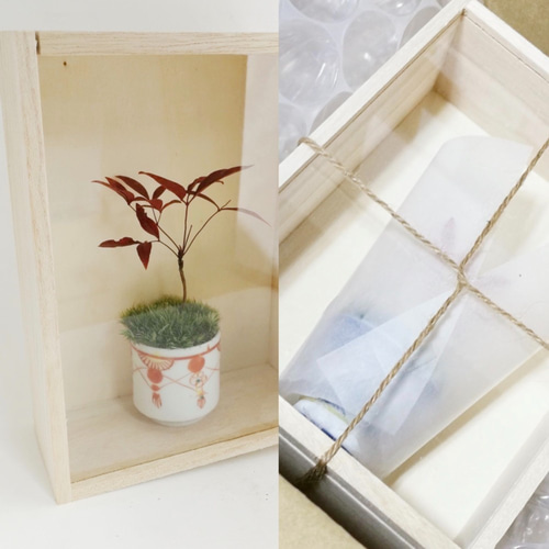 ナンテン 造花 インテリア 盆栽 New☆南天(ナンテン)のミニ盆栽(N14) 盆栽 kotora 通販 10815962