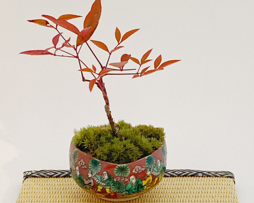 ナンテン 造花 インテリア 盆栽 New☆南天(ナンテン)のミニ盆栽(N21) 盆栽 kotora 通販 10948404