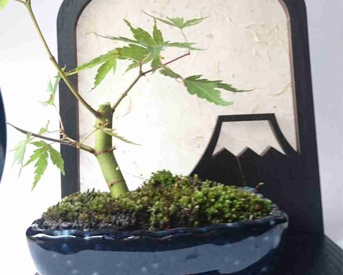 豆盆栽用】木製和柄屏風 富士山柄 一輪挿し・花瓶・花器 にし