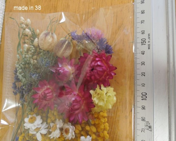 ドライフラワー ミモザ 貝細工 花かんざし ニゲラ 花びら　詰め合わせ ⑨ アソート 花材 2枚目の画像