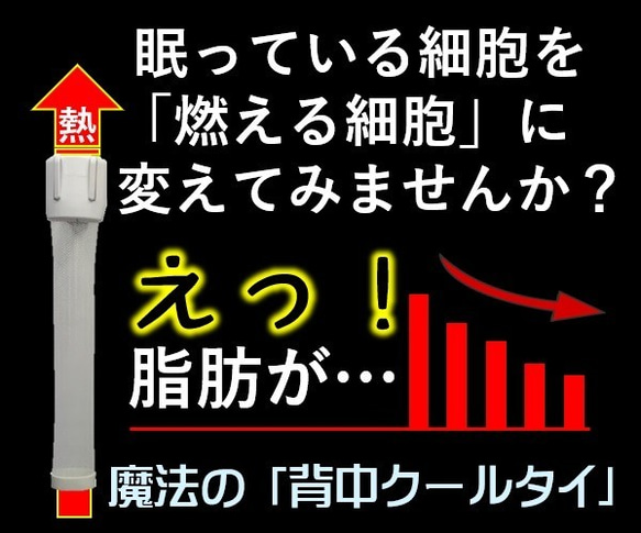 ダイエット器具 痩せた 痩せるインナー「背中クールタイ」 ファッション スタイル 健康ボディー サポート 3枚目の画像