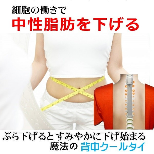 中性脂肪を下げる 魔法のダイエット 褐色脂肪細胞を刺激するだけ 自宅 運動 暮らしに 魔法のダイエット 背中クールタイ 2枚目の画像