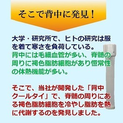 母の日 父の日 還暦祝い 老の日に 3役 瘦せる 冷やす 若返る グッズ「背中クールタイ」内祝い ギフトセット 送料無料 9枚目の画像