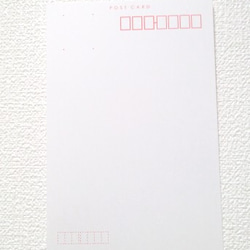 日本製はがき「シャンシャン・パンダ写真」(Postcard ポストカード　Made in Japan)3枚入り 2枚目の画像
