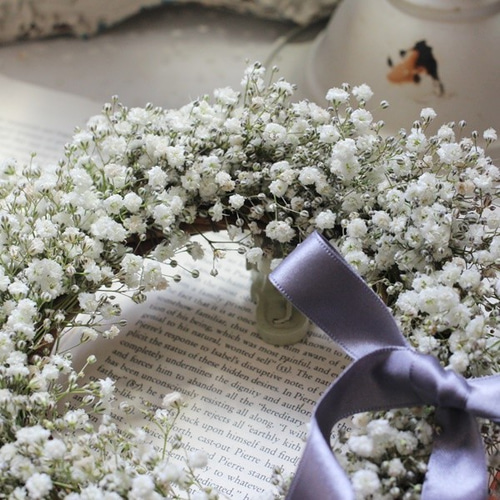 フレッシュかすみ草リース ドライフラワー petit chocolat 通販