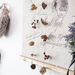 木ノ実のガーランド 実りの秋 木の実ガーランド ドライフラワー petit chocolat 通販