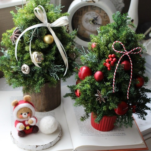 クリスマスツリーミニ プリザーブドフラワー petit chocolat 通販