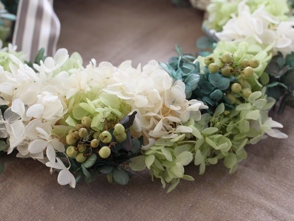 アジサイリース