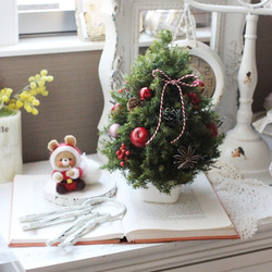 リンゴのミニツリー プリザーブドフラワー petit chocolat 通販