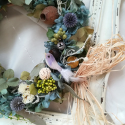 wreath“木の実と小鳥とアザミ„　(プリザーブドフラワー　ドライフラワー　ギフト　アンティーク　) 4枚目の画像