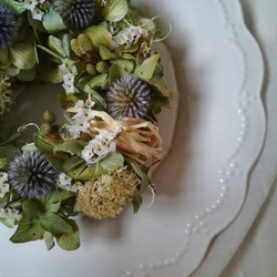 瑠璃玉アザミのtenori wreath (プリザーブドフラワー　ドライフラワー　グリーン　アンティーク) 2枚目の画像