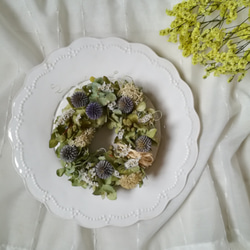 瑠璃玉アザミのtenori wreath (プリザーブドフラワー　ドライフラワー　グリーン　アンティーク) 6枚目の画像