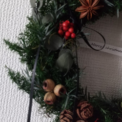 blown木の実と赤い実のwreath 3枚目の画像