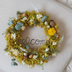 グリーンロゼカラーのwelcome wreath(プリザーブドフラワー ドライフラワー グリーン ギフト リース ) 6枚目の画像