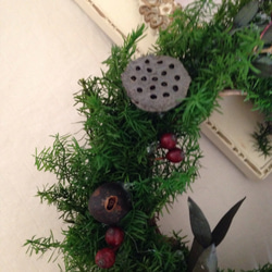 ヒムロスギのXmas mini wreath 3枚目の画像