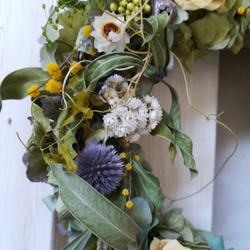 黄バラとミモザのgarden wreath 3枚目の画像