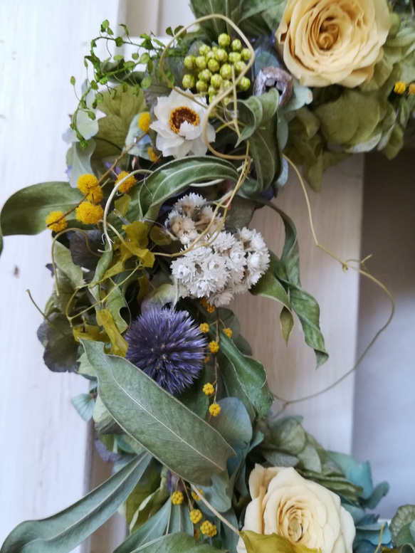 黄バラとミモザのgarden wreath 3枚目の画像