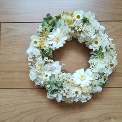 ジニアとハナカンザシの白のwreath 5枚目の画像