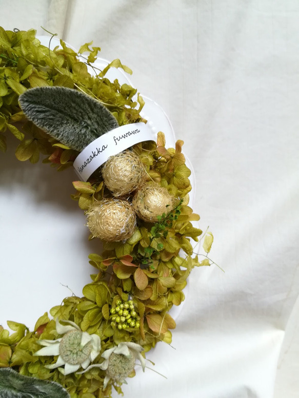 フレンチマリアンヌのgreen dolce wreath(ドルチェリース)　プリザーブドフラワードライフラワー 3枚目の画像