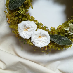 フレンチマリアンヌのgreen dolce wreath(ドルチェリース)　プリザーブドフラワードライフラワー 4枚目の画像