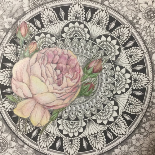 ボールペンアート 薔薇 バラ 花 額装付き 23×31.5cm 複製画 絵画