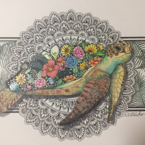 原画 肉筆 百貨店出展 絵画 絵 アート 海亀 海亀の絵 亀 カメ 原画 肉筆 百貨店出展 絵画 絵 アート 海亀 海亀の絵 亀 カメ