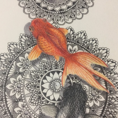 原画 ボールペンアート 額装付き 百貨店作家 金魚 金魚の絵 開運