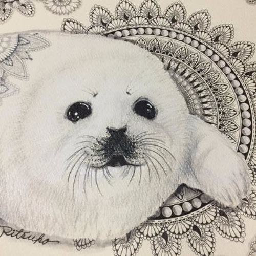 不安になってくるアザラシ　絵画 原画 肉筆 百貨店出展 ゴマちゃん ゴマアザラシ アザラシ 絵画