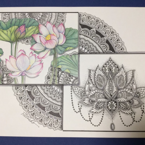 原画 肉筆 一点もの ボールペンアート 蓮 救い 花 額装付き